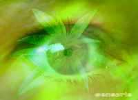 Oeil_vert